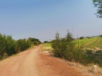 ที่ดิน 1300000 พิษณุโลก เมืองพิษณุโลก พลายชุมพล