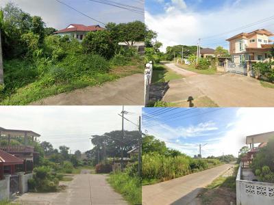 ที่ดิน 650000 พิษณุโลก เมืองพิษณุโลก บึงพระ