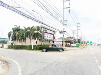 ที่ดิน 280000 พิษณุโลก เมืองพิษณุโลก สมอแข