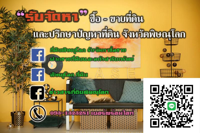 ที่ดิน 100 พิษณุโลก เมืองพิษณุโลก ในเมือง