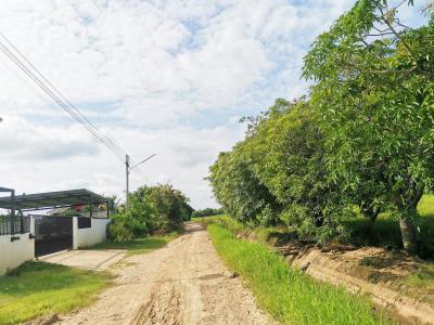 ที่ดิน 850000 พิษณุโลก เมืองพิษณุโลก พลายชุมพล