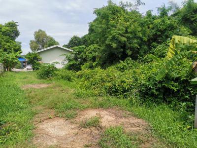 ที่ดิน 450000 พิษณุโลก เมืองพิษณุโลก พลายชุมพล