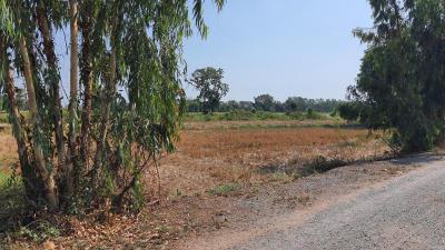 ที่ดิน 200000 พิษณุโลก เมืองพิษณุโลก มะขามสูง